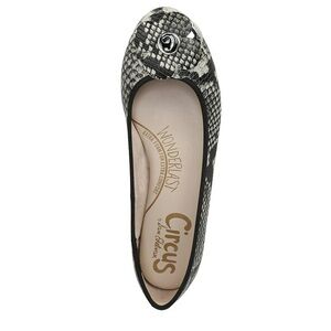 circus by sam edelman women's cecilia ballet flat,